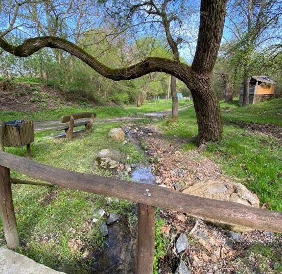 Babérkert Villaház Balatonhenyén