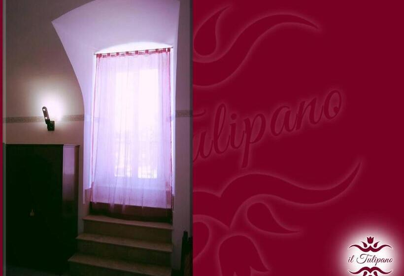 B&b Il Tulipano