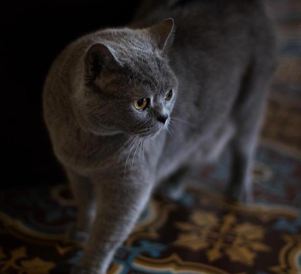 민박 Château De La Folie