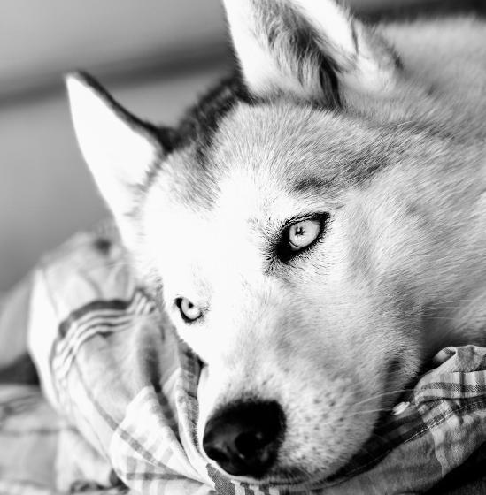 민박 Château De La Folie