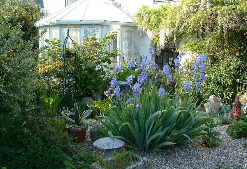 צימר Emms Cottage