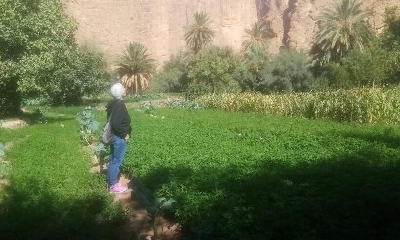 Bed and Breakfast Maison D Hôte Valentine