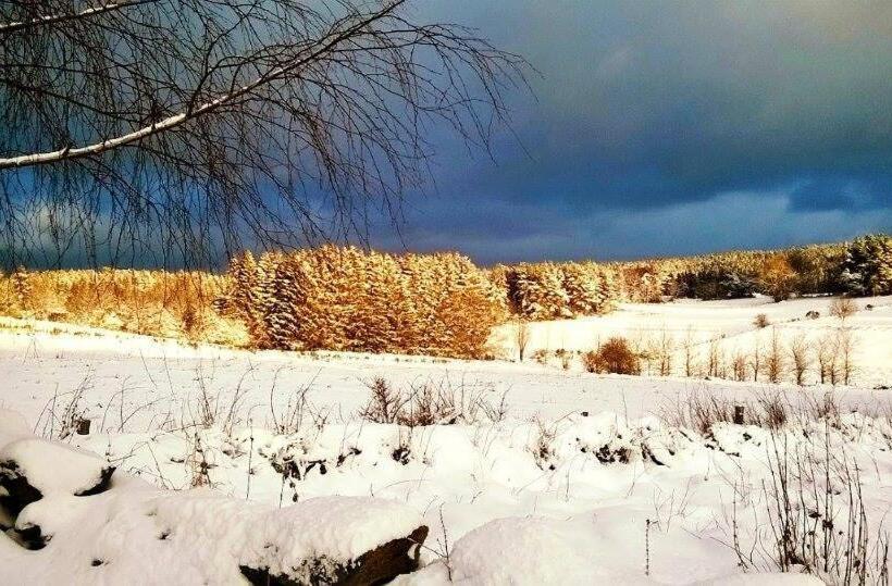 צימר Notre Bergerie