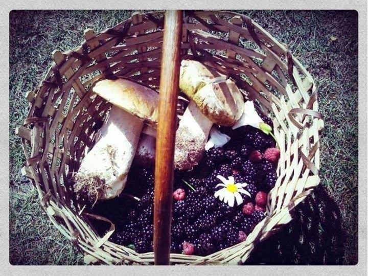 צימר Notre Bergerie