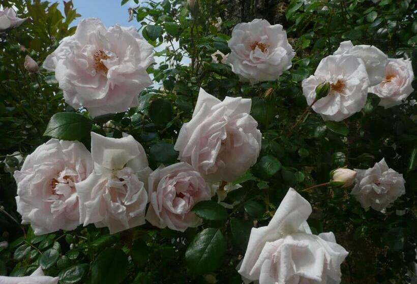 צימר Roulotte La Dominique