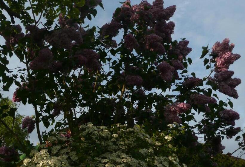 צימר Roulotte La Dominique