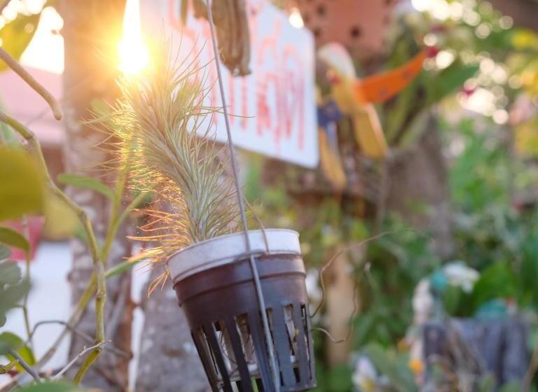 Boathouse Resort Suanphung