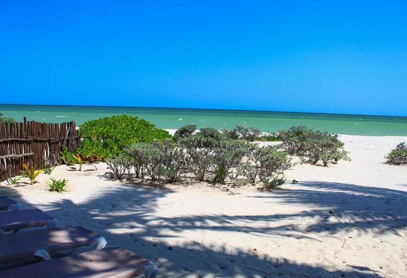 Chios Small Paradise Beach Home