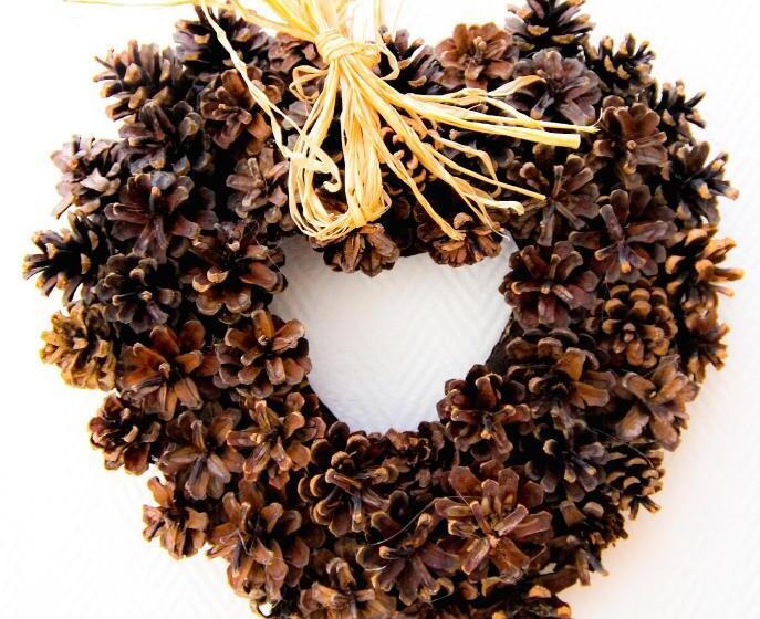 Coquet Appartement Type 2 De 56 M² En Centre Ville