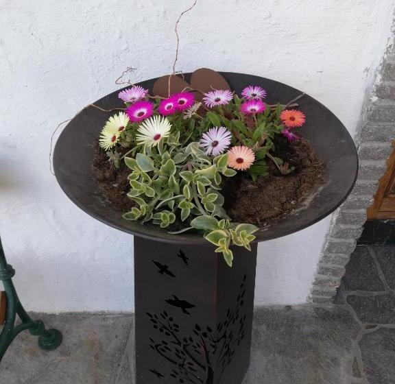 Frühstückspension Alpenrose Bed & Breakfast