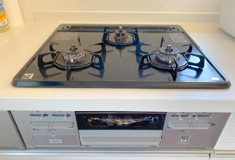 Grandioso Okinawa Villa Nago 1   Vacation Stay 9485