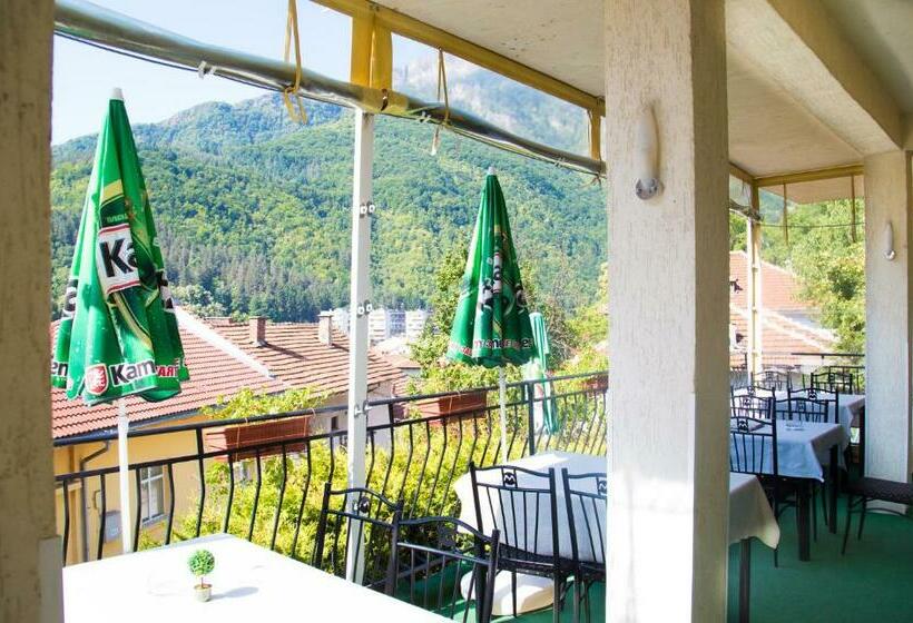 Hotel семеен хотел вит