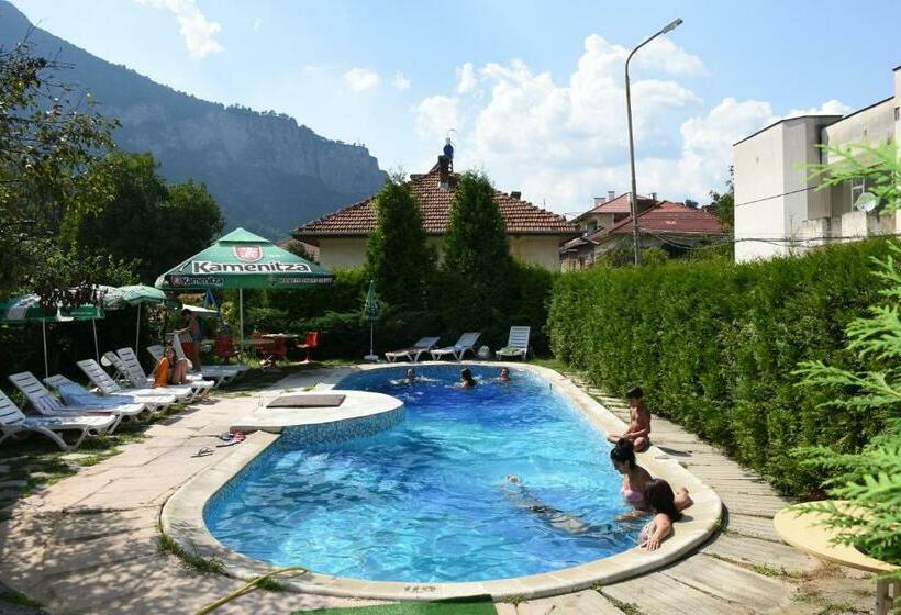 Hotel семеен хотел вит