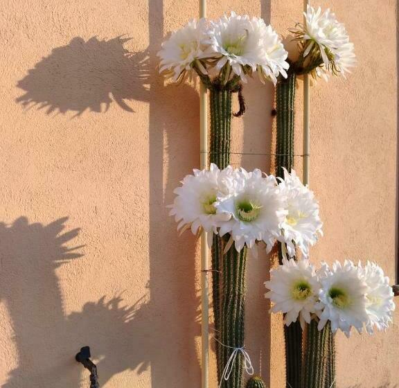 Отель Agriturismo Affittacamere Barbarossa