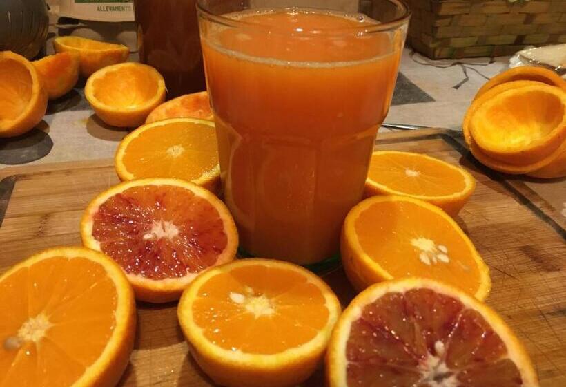 Отель Agriturismo La Casa Delle Fate