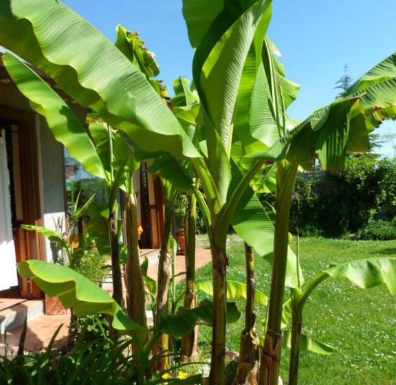 فندق Agriturismo La Quiete