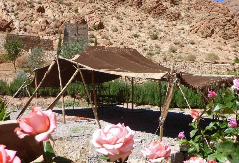 هتل Auberge Le Festival Todra Gorge