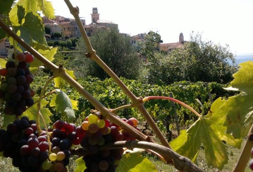 Отель B&b Ca De Pippu