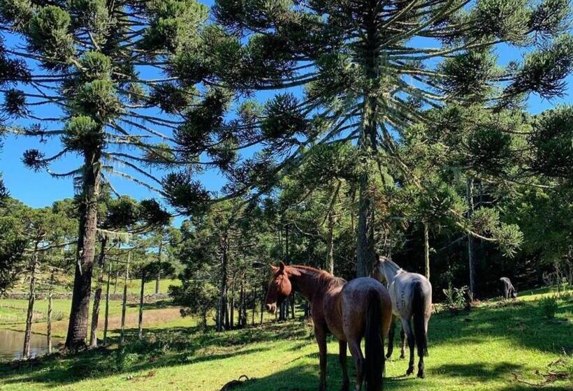ホテル Fazenda Santa Rita Turismo Rural