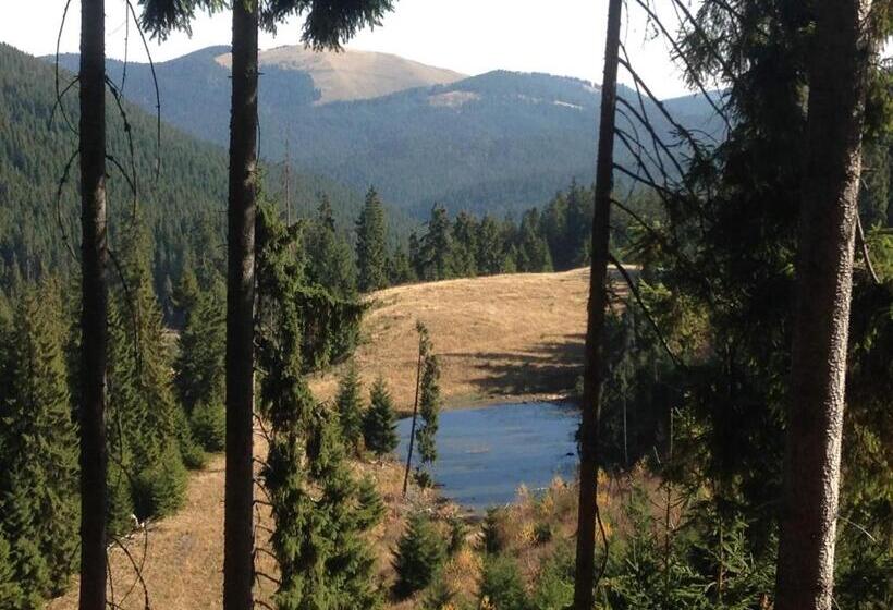 호텔 Pensiunea Agroturistica Casa Coliniţa