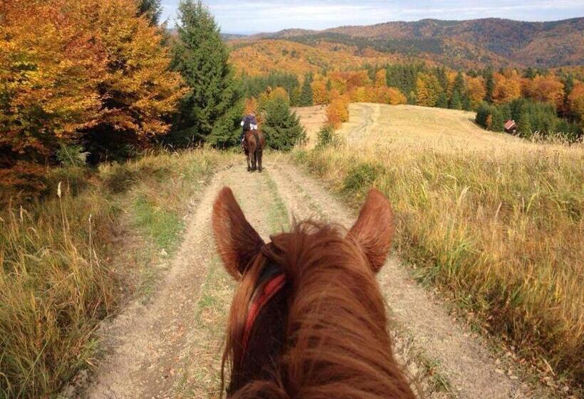 호텔 Pensiunea Agroturistica Casa Coliniţa