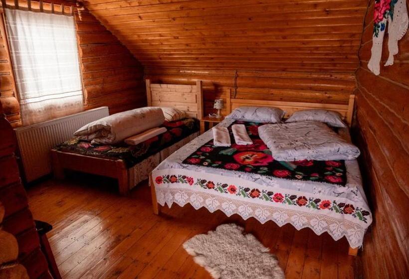 בית מלון כפרי Pensiunea Anca