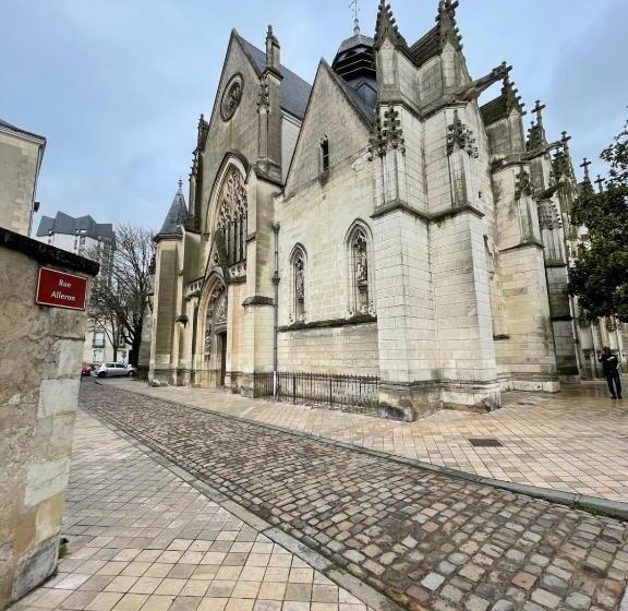 Le Chenonceau Charm And Softness From Tours