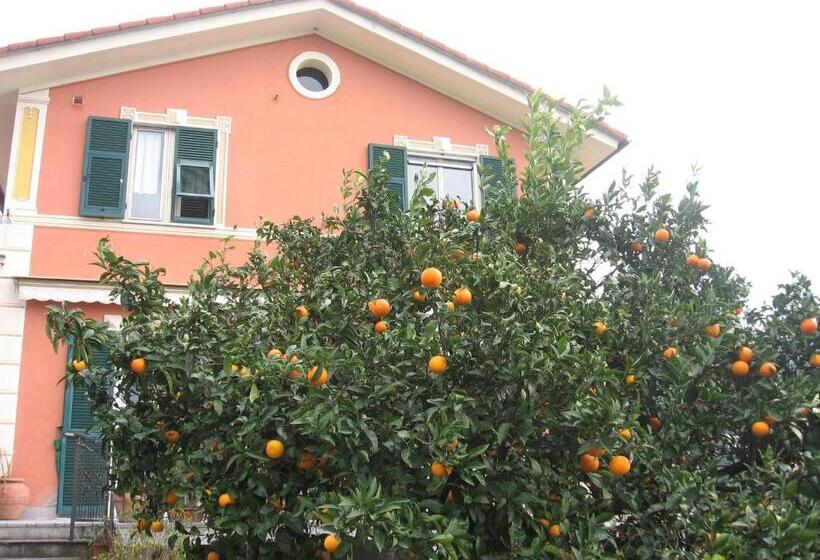 Le Clementine B&b