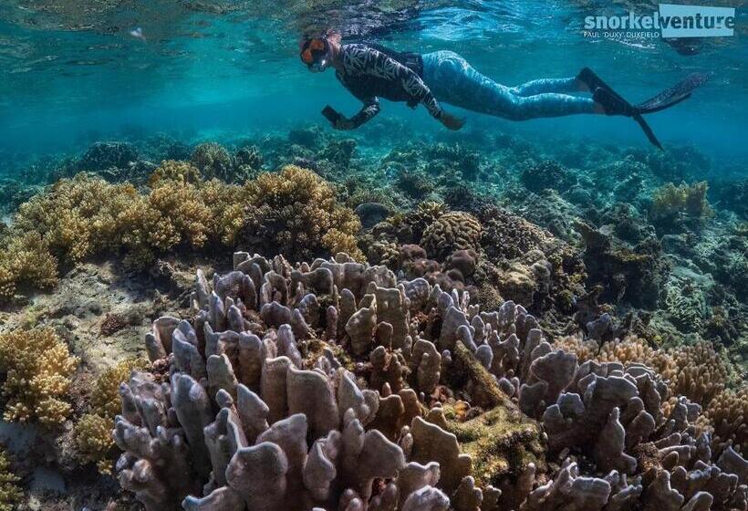 Magic Island Dive Resort