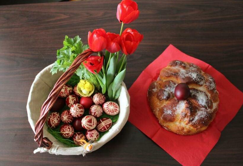 膳宿费 старата тонина къща