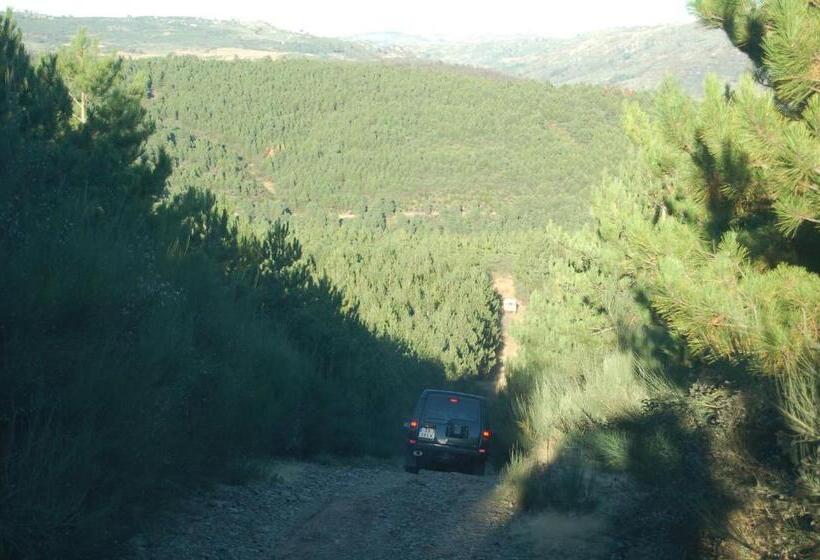 ペンション Agro Turismo   Quinta Do Pinheiro