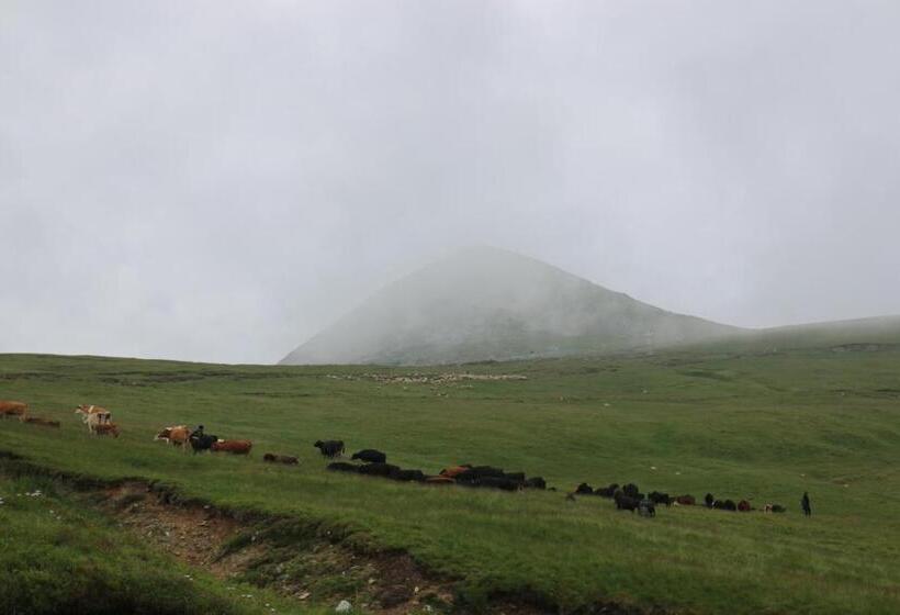 ペンション Cabana Transalpina