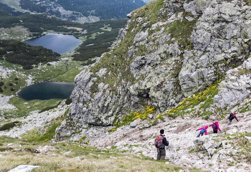 ペンション Cabana Transalpina