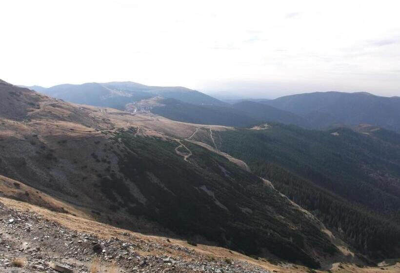 ペンション Cabana Transalpina