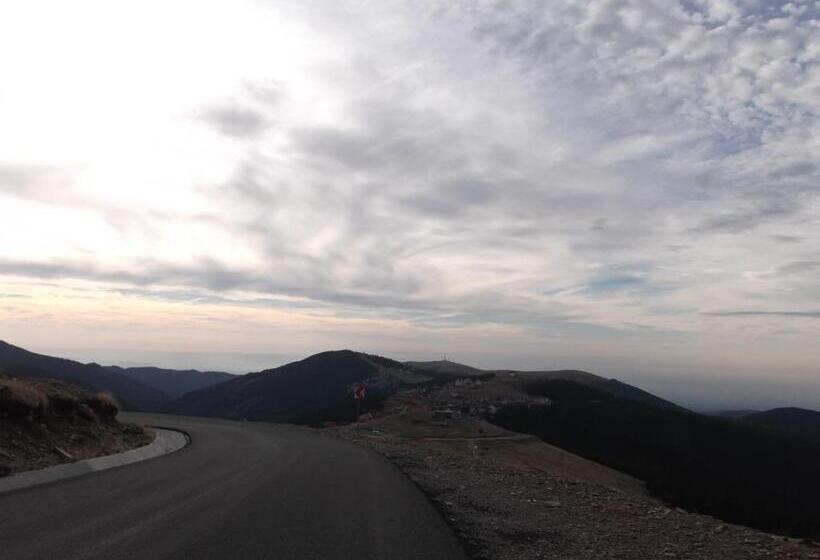 ペンション Cabana Transalpina