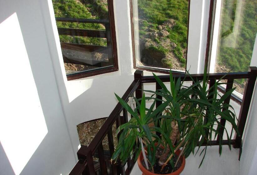 ペンション Cabana Transalpina