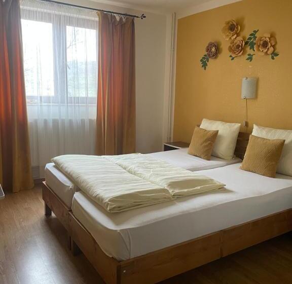 ペンション Casa Linistita