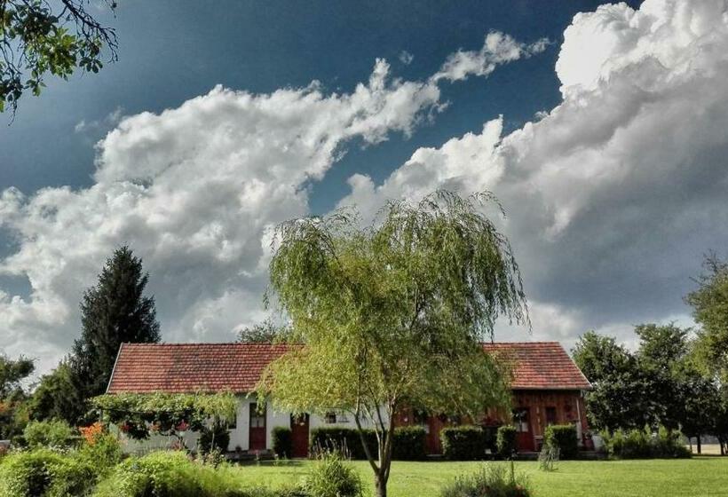 بنسيون Cseri Porta