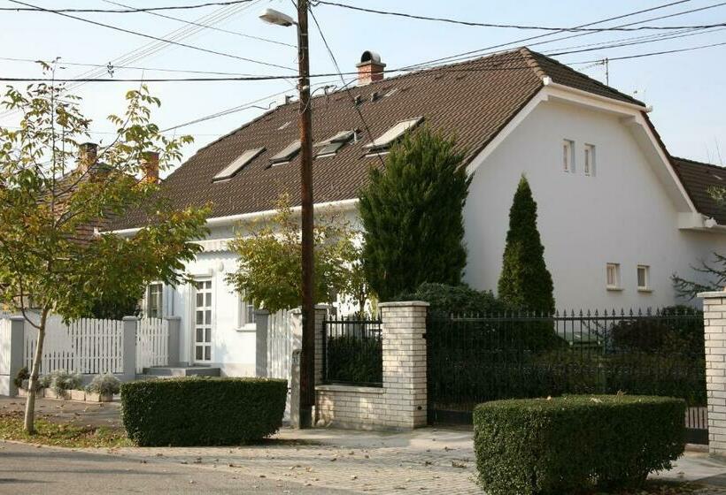 펜션 Czinger Vendégszobák