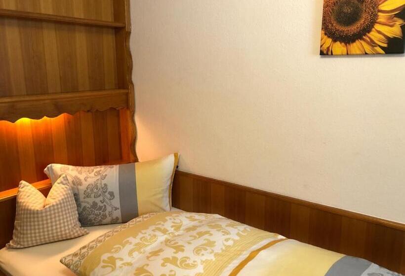 פנסיון Gästehaus Am Kurparkweg