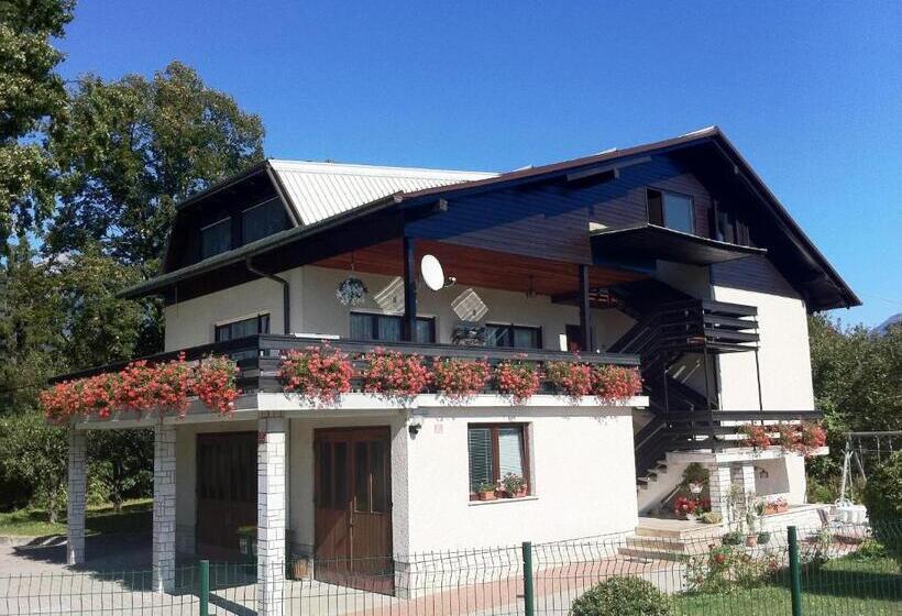 پانسیون Guest House Golja