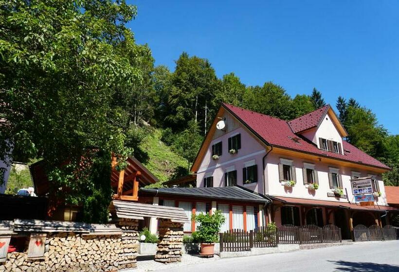 پانسیون Guest House Gostišče Gačnk V Logu