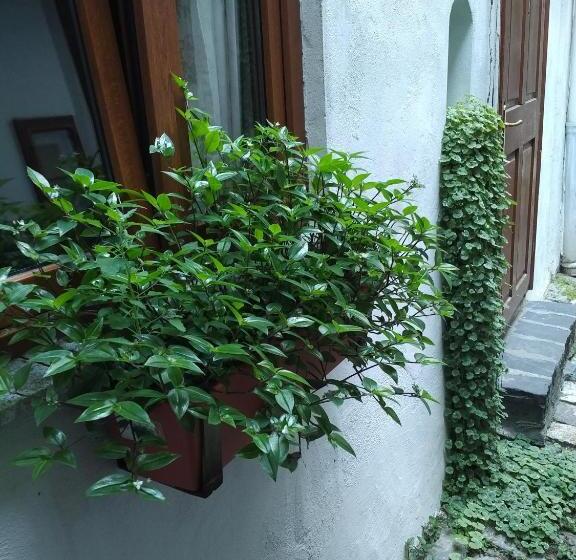 Пансион Guesthouse Postavarului