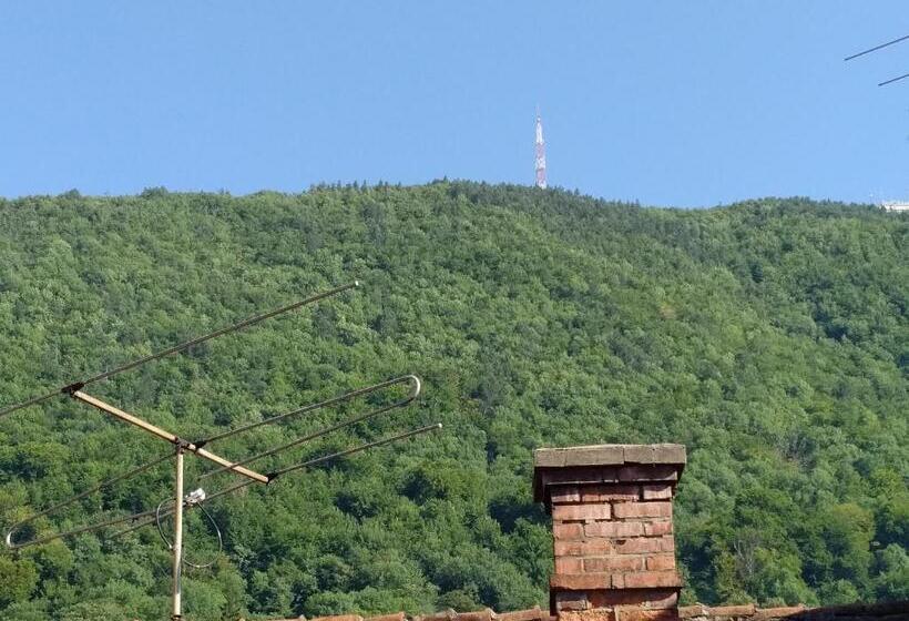 Пансион Guesthouse Postavarului