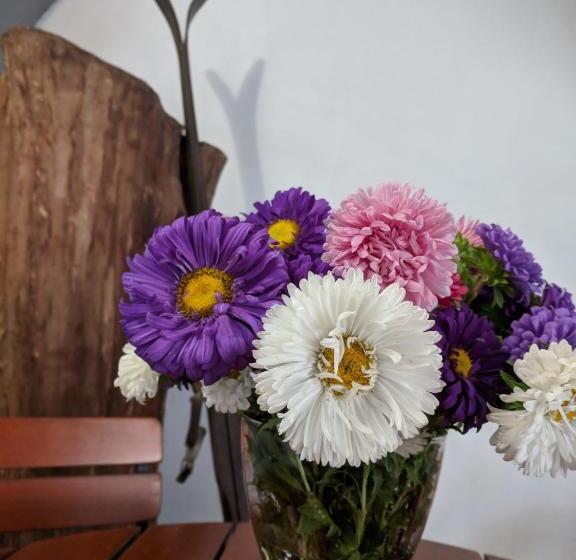 Пансион Guesthouse Postavarului