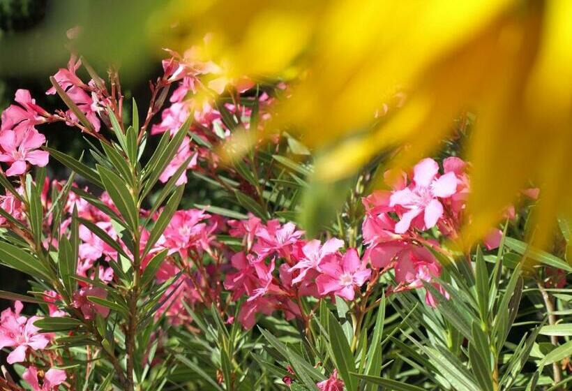 פנסיון Illés Vendégház