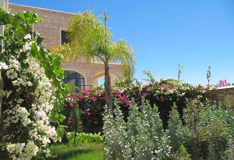 پانسیون Maison D Hôtes, Spa Et Yoga Villa Océane