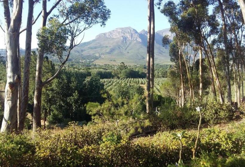 膳宿费 Morton Manor