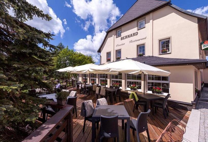 膳宿费 Penzion Bernard