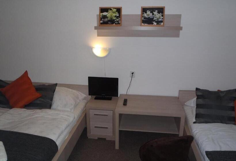 膳宿费 Penzion Bernard